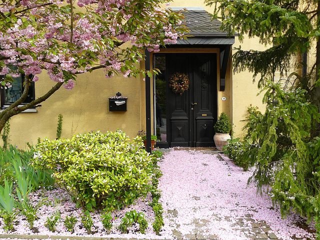 Fleurs du Japon